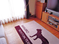DOG RUG & MAT