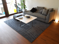 SINPLE MODERN RUG